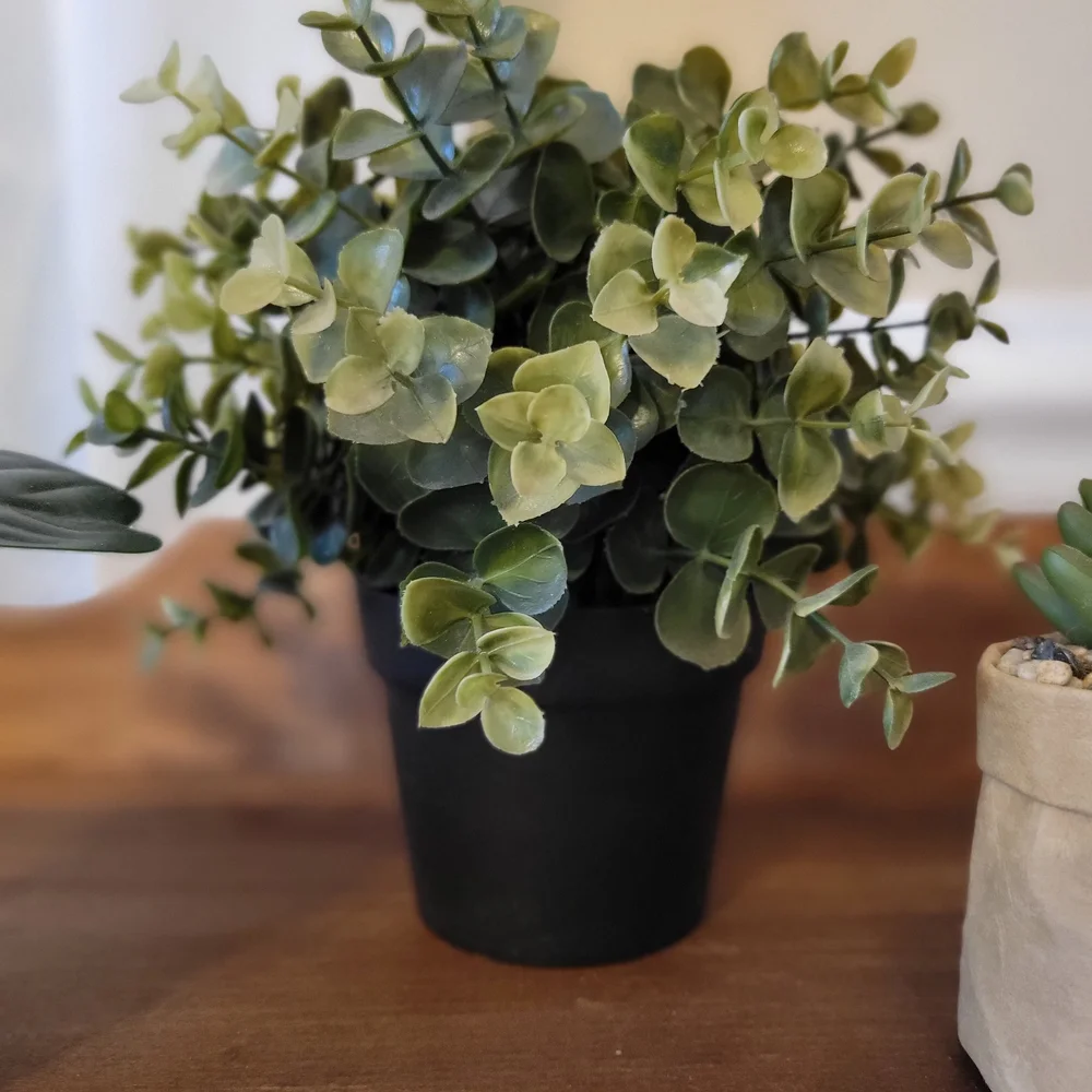 Artificial Eucalyptus Plant in Green Pot - Home Accents - Picture 4 of 5